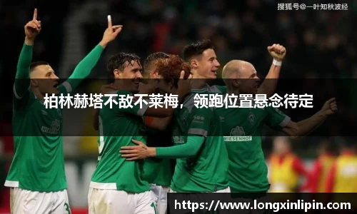 IM电竞平台