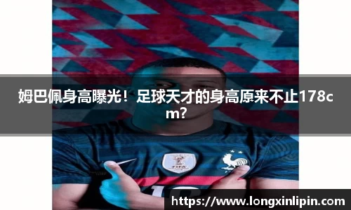 IM电竞官网