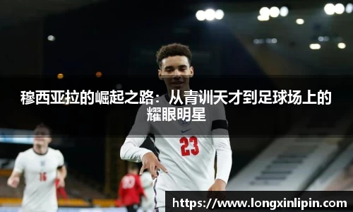 IM电竞官网